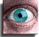 [ Eye ]